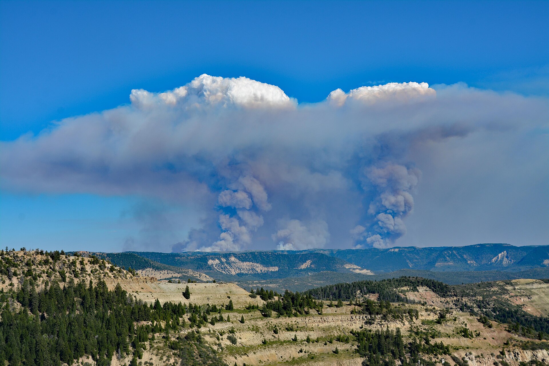 Pine Gulch Fire
